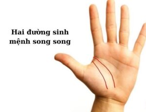 hai-duong-sinh-menh-song-song