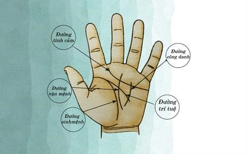 Tổng hợp những đường chỉ tay xấu và luận giải chi tiết A-Z