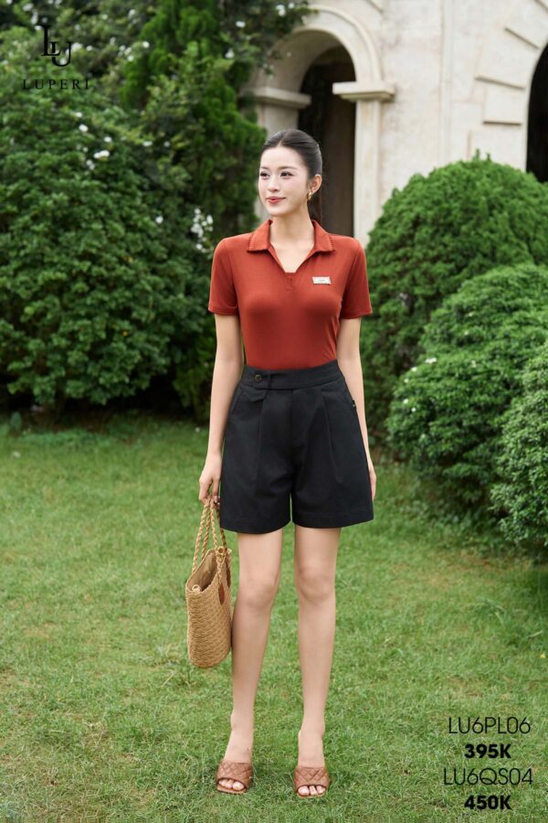 LU6PL06-cam