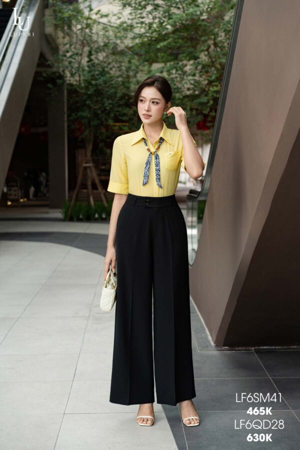 LF6SM41-2